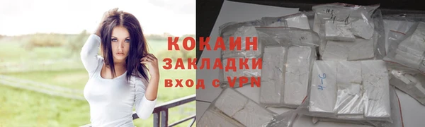 мяу мяу мука Бородино