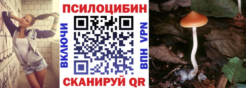 наркота  MEGA маркетплейс  Галлюциногенные грибы Psilocybine cubensis  Кимры 